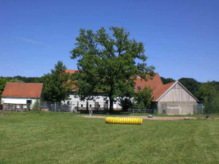 Tierpension Fifficats - Hof gesamt