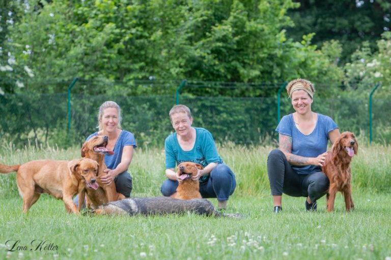Hundetraining Fifficats - Raum Versmold Bad Laer