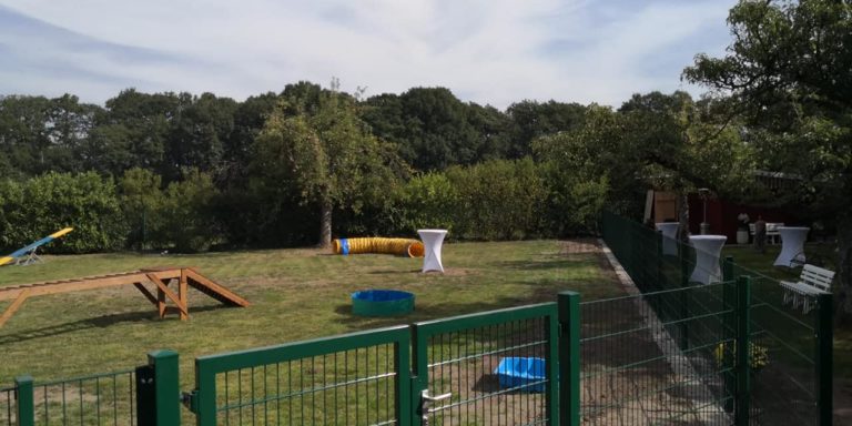 Fifficats Hundeschule Trainingsgelände Bad Laer Bielefeld Münster Osnabrück Gütersloh Paderborn